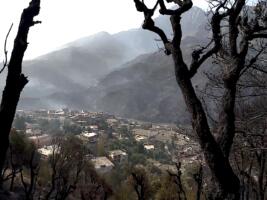 Darguina, dans la Wilaya de Bejaïa, après le désastre - Photo Aboubaker Khaled