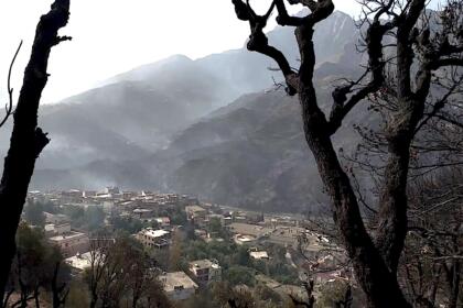Darguina, dans la Wilaya de Bejaïa, après le désastre - Photo Aboubaker Khaled