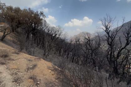 Incendies
