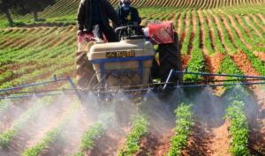 Vue rapprochée d'une machine agricole en cours d'aspersion au-dessus de jeunes plants verts sur une terre ocre.