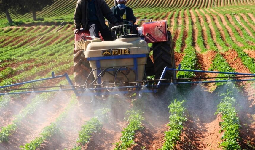 Vue rapprochée d'une machine agricole en cours d'aspersion au-dessus de jeunes plants verts sur une terre ocre.