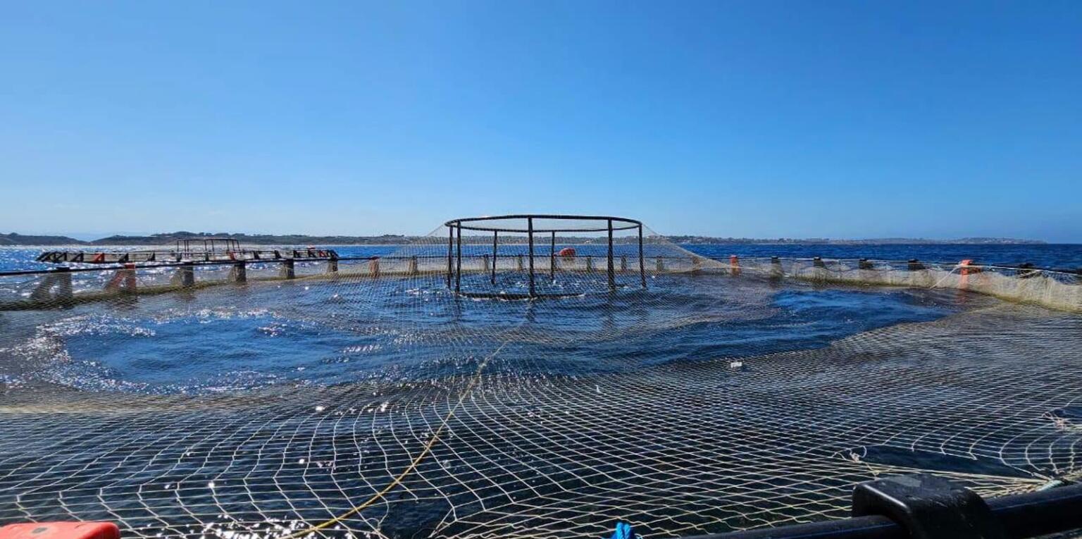 Cage circulaire d'aquaculture flottant en mer, vue depuis son bord : un filet est tendu à la surface de l'eau, une structure métallique est posée au centre, d'autres cages sont alignées au loin devant une côte basse, sous un ciel bleu dégagé. (IA)