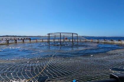 Cage circulaire d'aquaculture flottant en mer, vue depuis son bord : un filet est tendu à la surface de l'eau, une structure métallique est posée au centre, d'autres cages sont alignées au loin devant une côte basse, sous un ciel bleu dégagé. (IA)