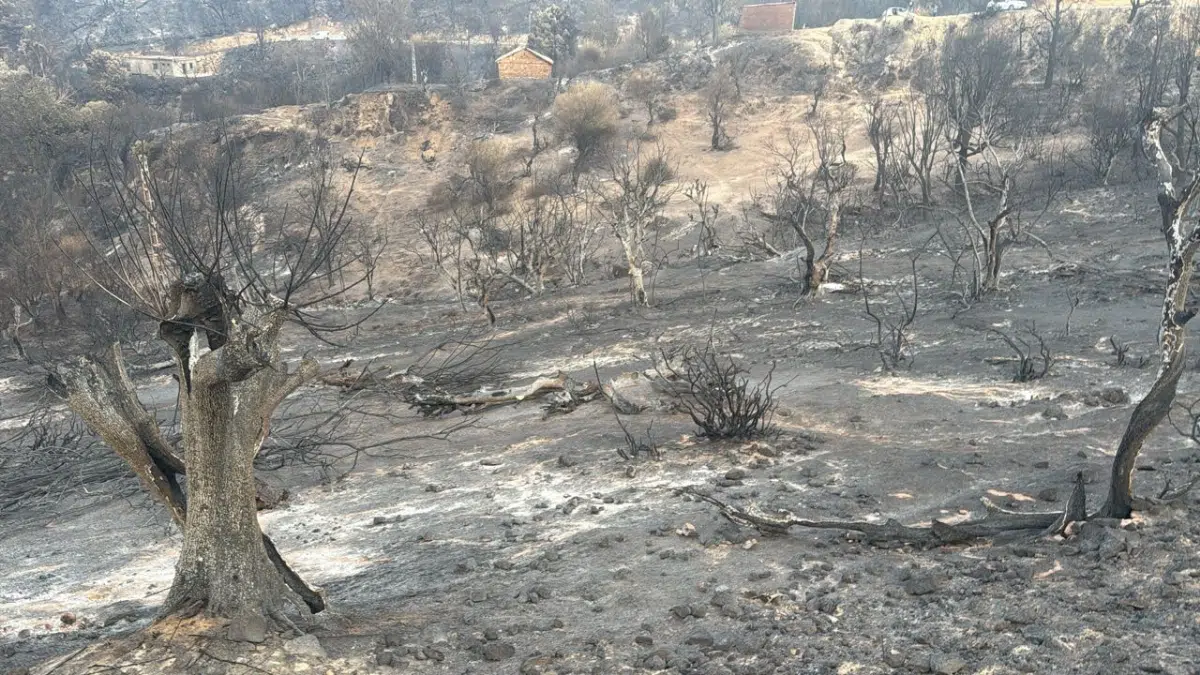 Incendies dans la wilaya de Jijel : exploitations agricoles en fumée. Jijel été 2026