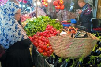 Étal de tomates, poivrons verts et aubergines sur un marché algérien, une cliente en hijab devant les cageots