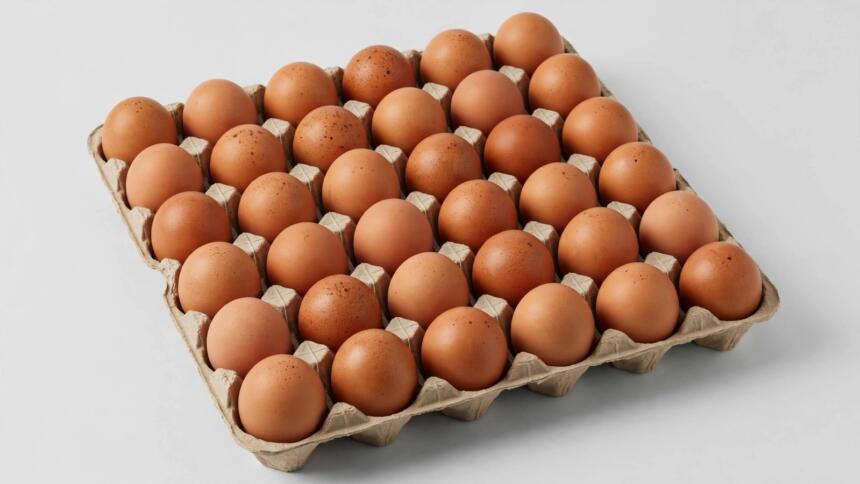 œufs
