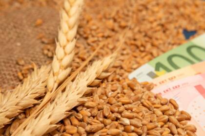 marché mondial des produits alimentaire en agitation