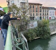 Jet de roses à la Seine - Ile de St Denis ( 2025