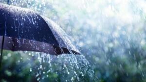 Pluies