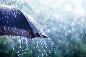 Pluies