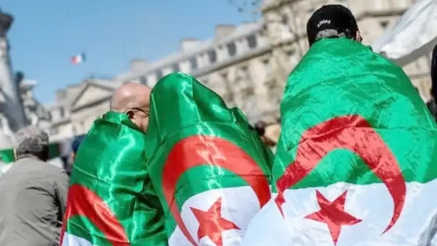 Trois personnes de dos drapées dans des drapeaux algériens, un drapeau français au loin