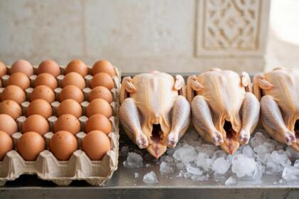 poulet